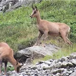 Au Pied Des Pistes , Tourmalet, Balcon Plein Sud *