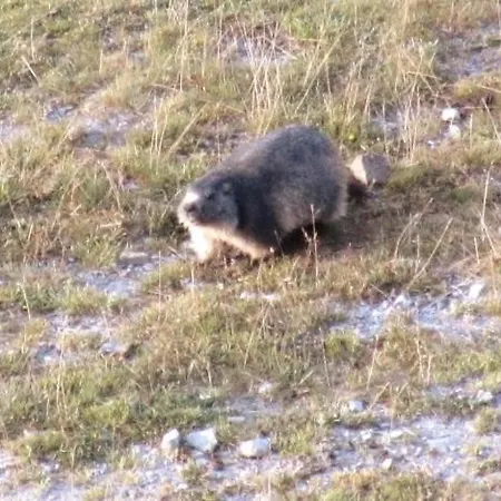 Au Pied Des Pistes , Tourmalet, Balcon Plein Sud *